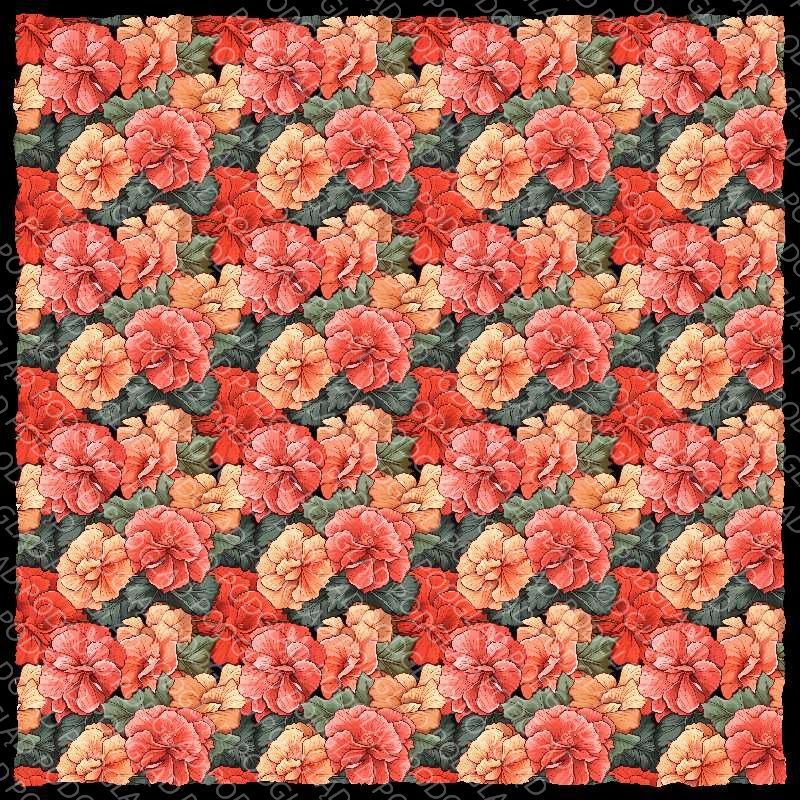 Begonia Plant